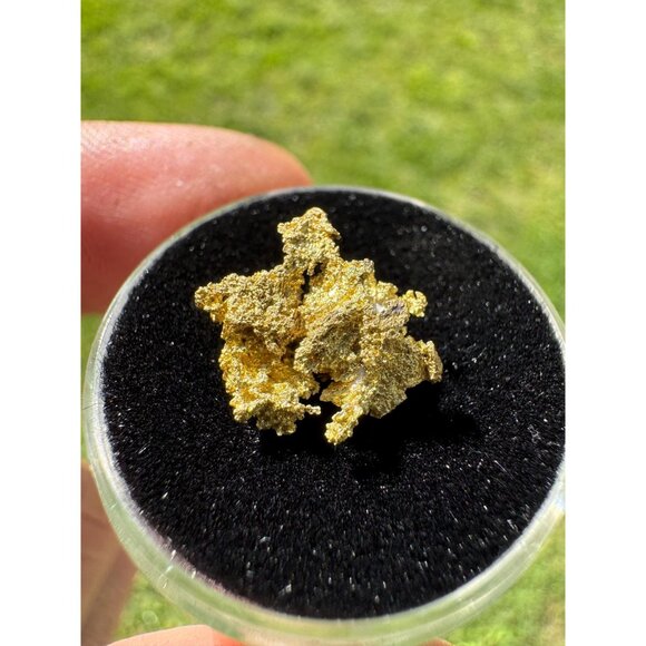 California Native Gold Crystal - 1.32 grams - Picture 6 of 7